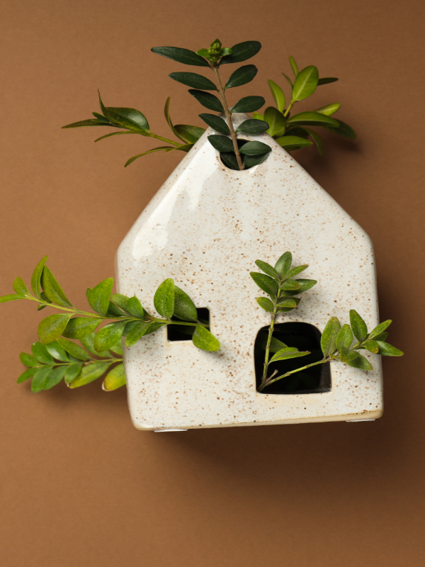 Illu maison écologique