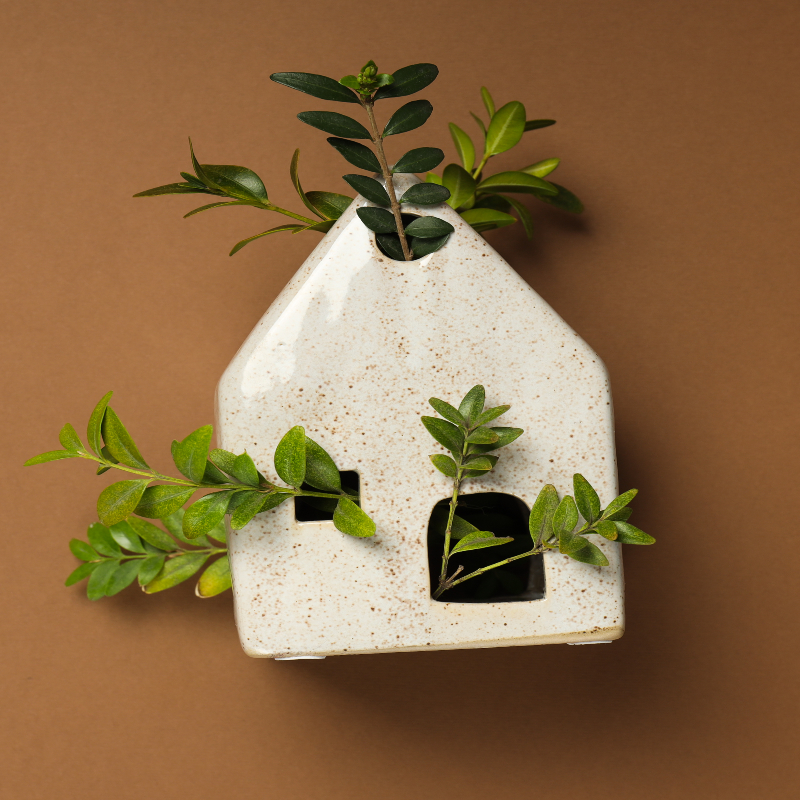 La maison écologique